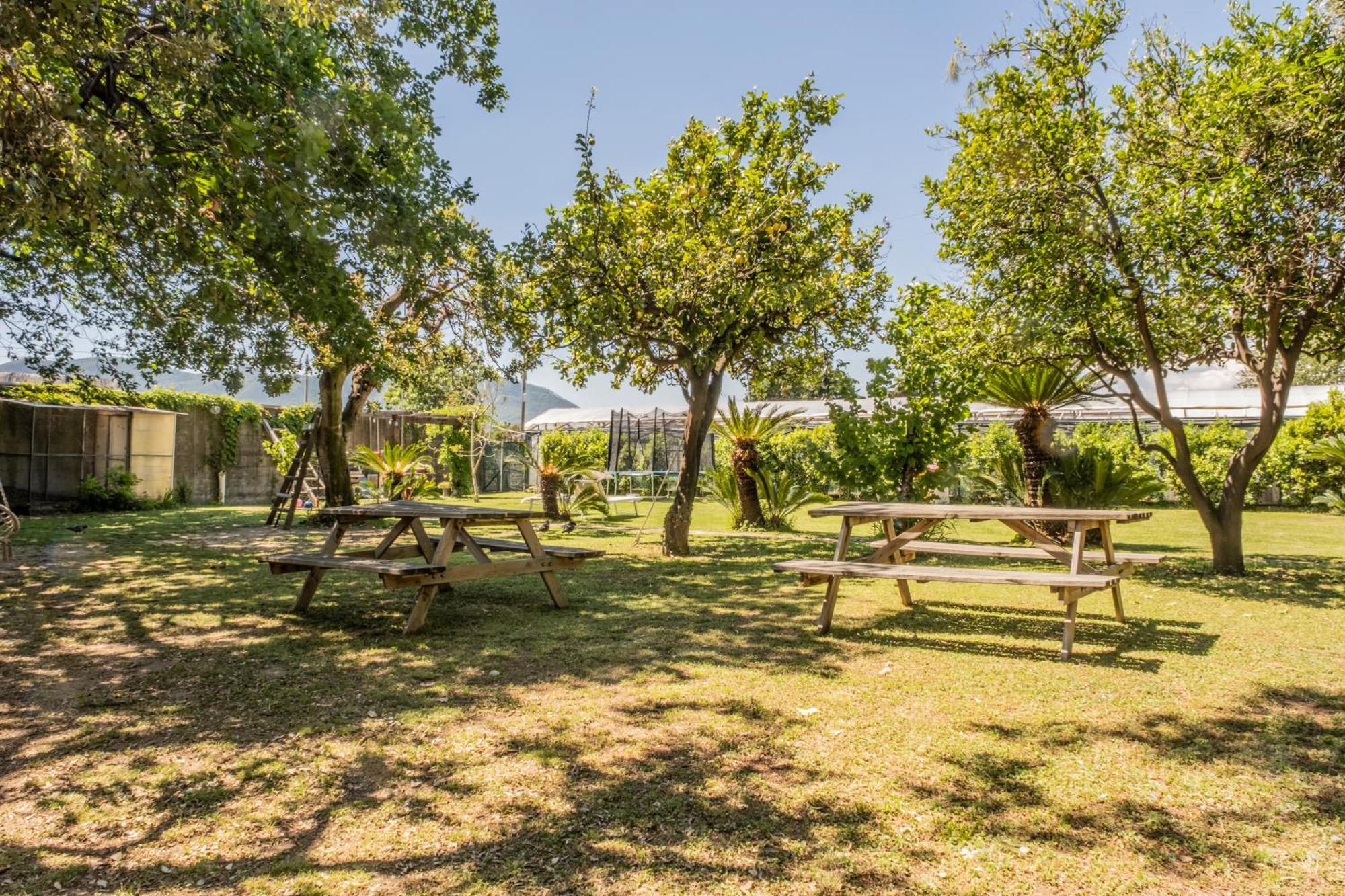 Agriturismo Giorgi Appartamenti In Riviera Ligure Альбенга Экстерьер фото